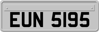 EUN5195