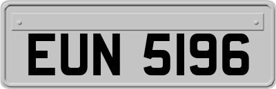 EUN5196