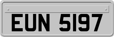 EUN5197