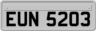 EUN5203