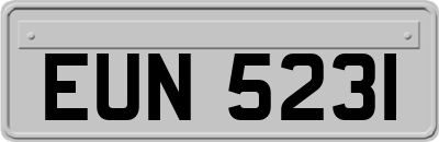 EUN5231