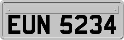 EUN5234