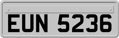 EUN5236