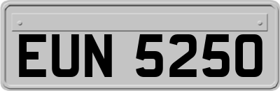 EUN5250