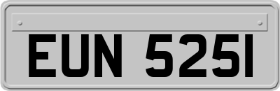 EUN5251
