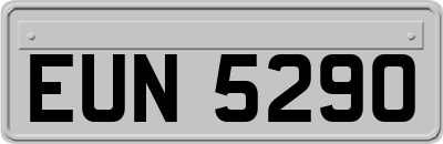EUN5290