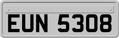 EUN5308
