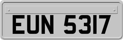 EUN5317