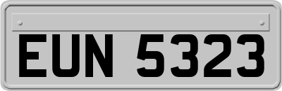 EUN5323