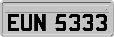 EUN5333