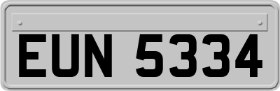 EUN5334