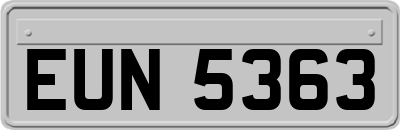 EUN5363