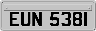 EUN5381