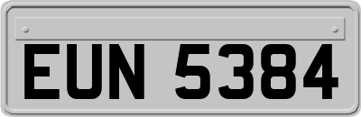 EUN5384