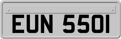 EUN5501