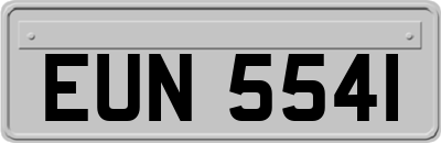 EUN5541