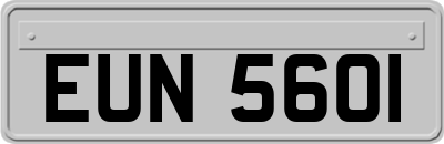 EUN5601