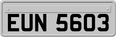 EUN5603