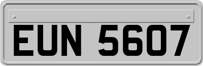EUN5607