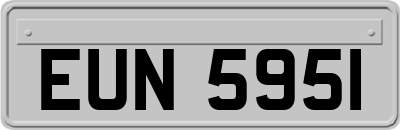 EUN5951
