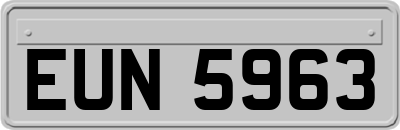 EUN5963