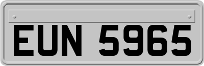 EUN5965