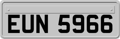 EUN5966