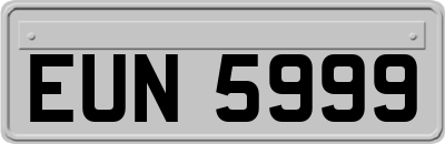 EUN5999