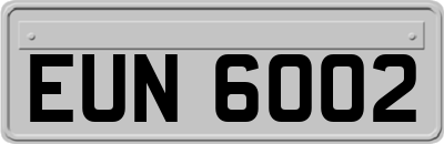 EUN6002