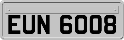 EUN6008