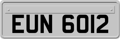 EUN6012