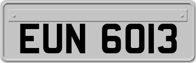 EUN6013
