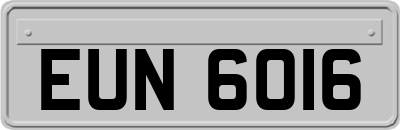 EUN6016