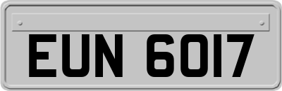EUN6017