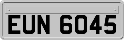 EUN6045