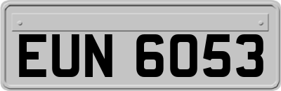 EUN6053