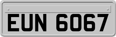 EUN6067
