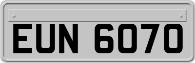 EUN6070