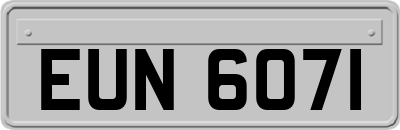 EUN6071
