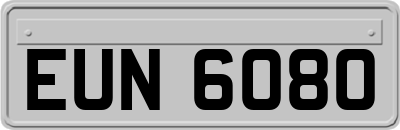 EUN6080