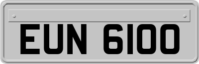 EUN6100