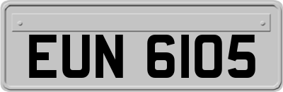 EUN6105