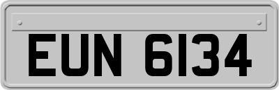 EUN6134