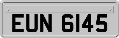 EUN6145