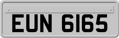 EUN6165