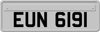 EUN6191