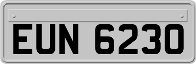 EUN6230