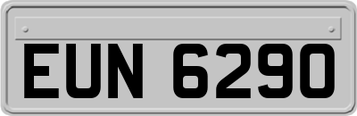 EUN6290