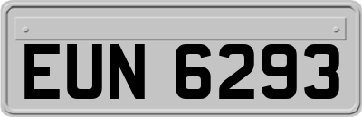 EUN6293
