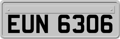 EUN6306